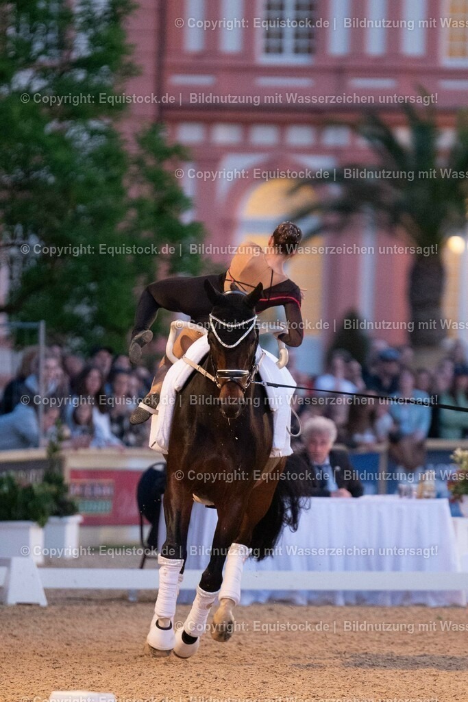 20230527_Voltigieren_NASPA_Flutlicht_0512 | equistock