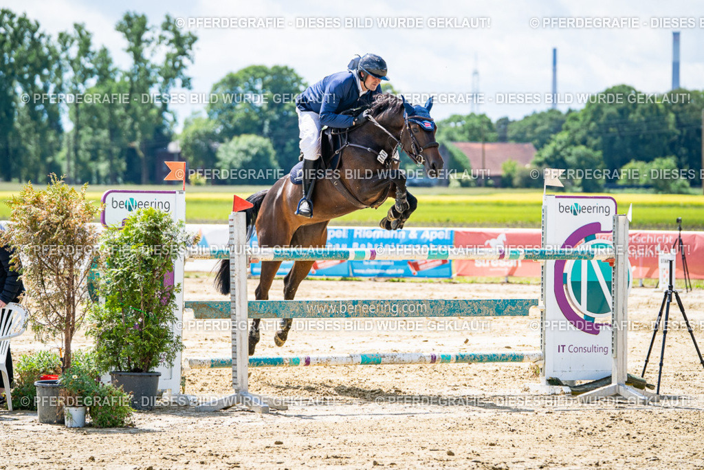 DSC05009 | Pferdegrafie