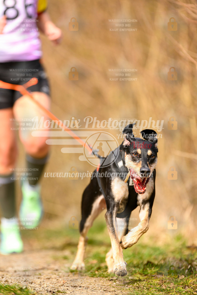 MompixPhotography_Schwabentrail2024_CC-109 | PayLife