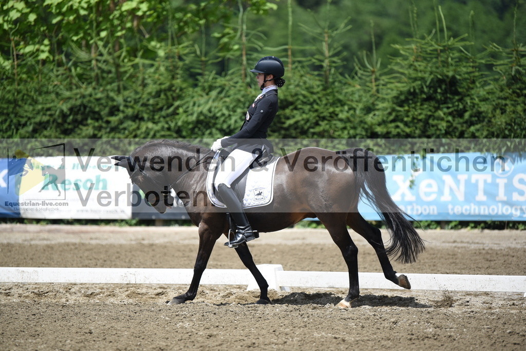 DSC_1456 | equestrian-live-com