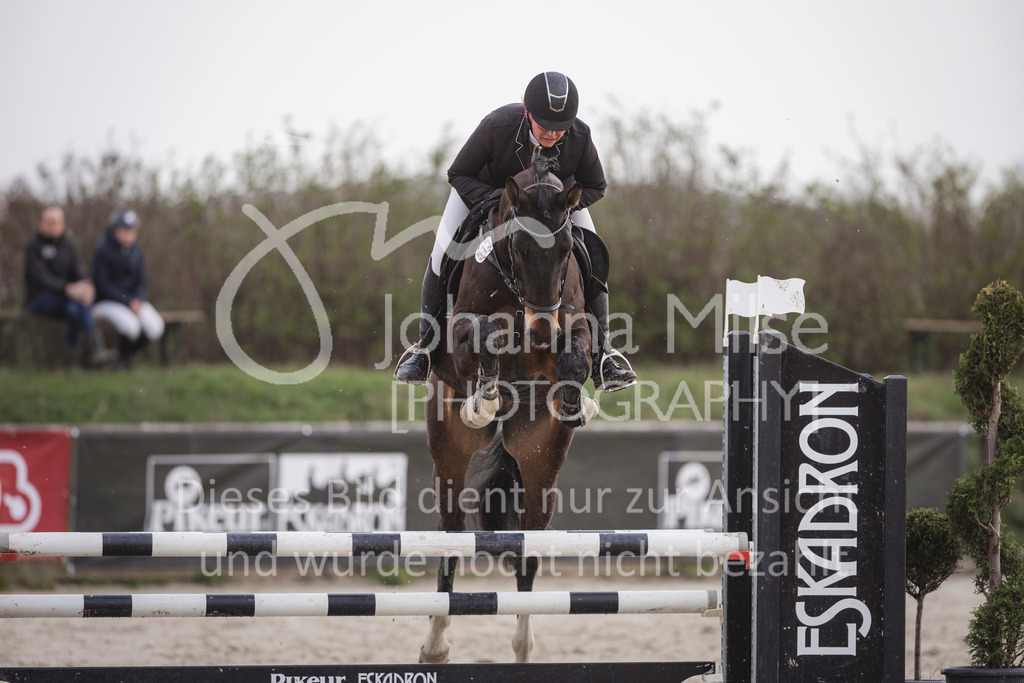 240330_Fruehlingsfest_Amateur-SprPf-A-226 | Deine schönsten Turniermomente als professionelle Fotos! Entdecke hochwertige Pferdesport-Fotografie im Online-Shop. Jetzt Fotos finden & bestellen!