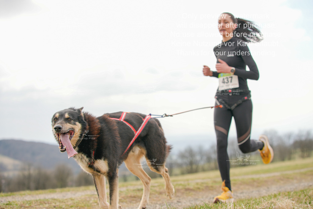 CaniXRunSA-195 | stephaniefillaphotographie - Realisiert mit Pictrs.com