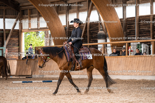 Heidelberg Tag 1-650 | dv-media-shop - Realized with Pictrs.com