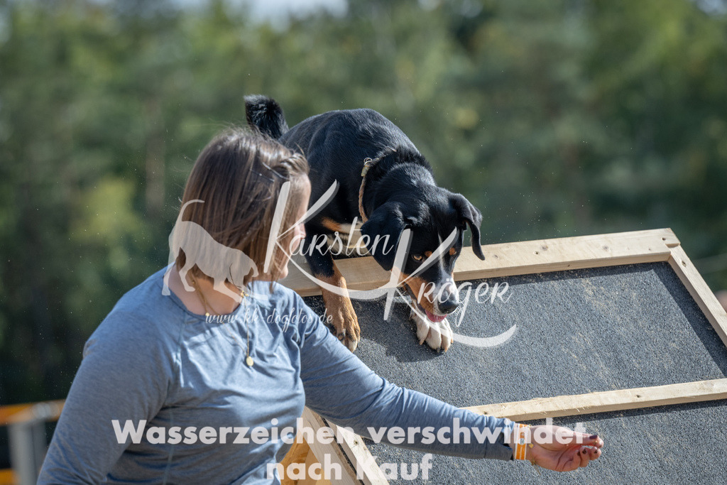 1439_ZZ91821 | kk-dogfotos