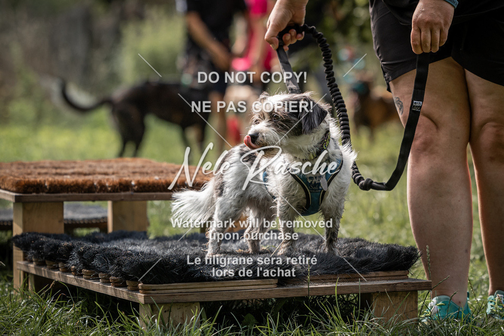 nelerasche_SoLauf_223 | nelerasche