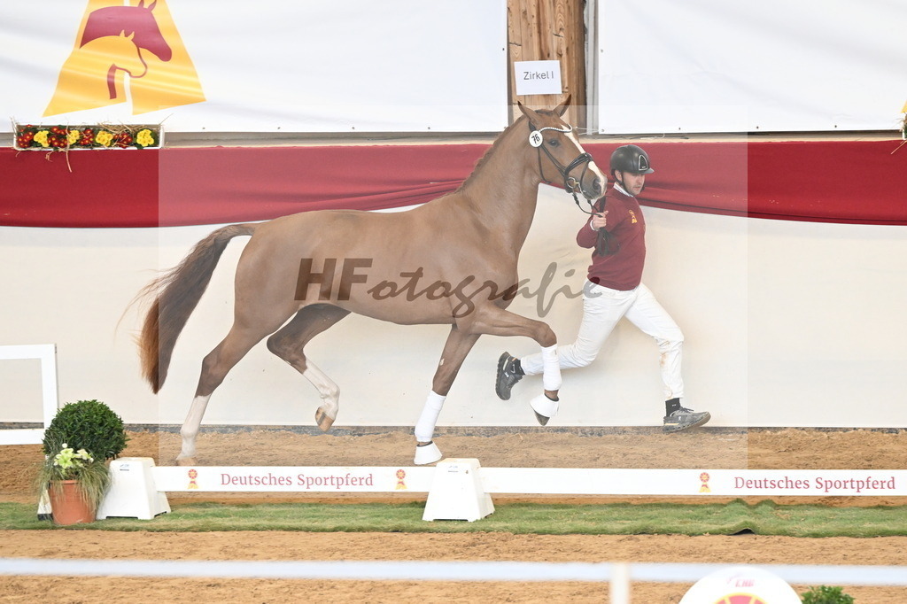 Kat.-Nr. 76 v. Sir Heinrich_Schulze Averdiek_3261108 | hf-fotografie - Realisiert mit Pictrs.com