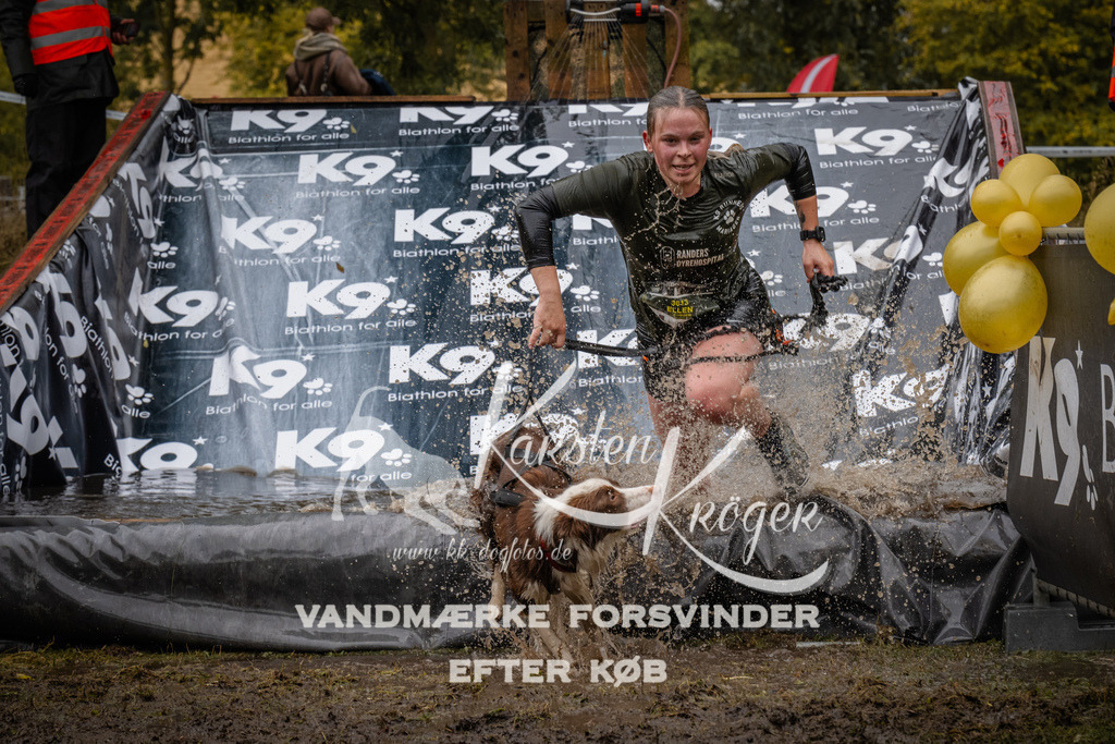 1259_ZZ90844 | kk-dogfotos