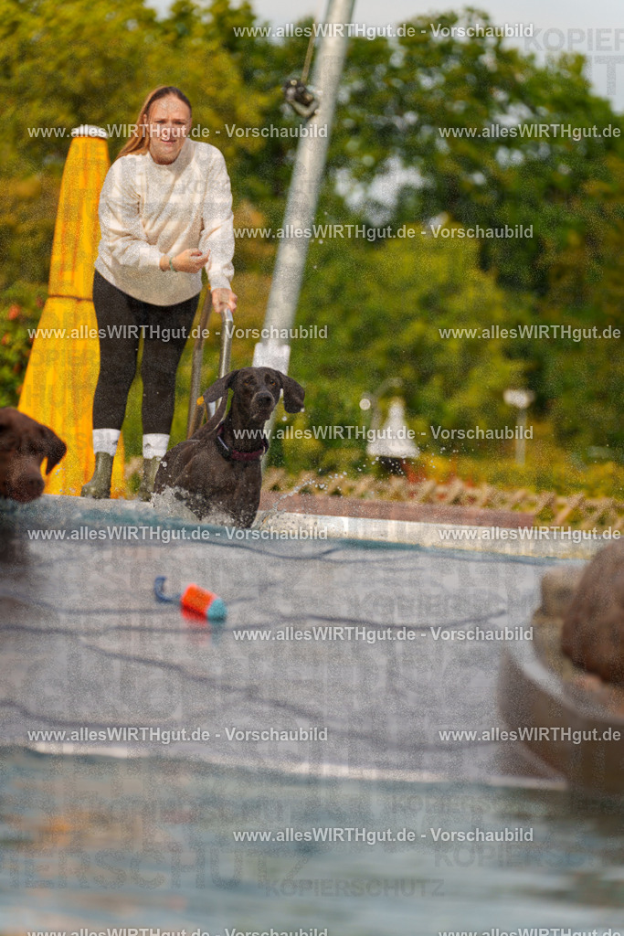Hundeschwimmen_Grefrath_2026-allesWIRTHgut_Tierfotografie-11_09-7R503138 | Professionelle Tierfotografie in Mönchengladbach von Daniel Wirth (allesWIRTHgut). Liebevolle & natürliche Bilder von Hunden & Katzen für unvergessliche Erinnerungen.