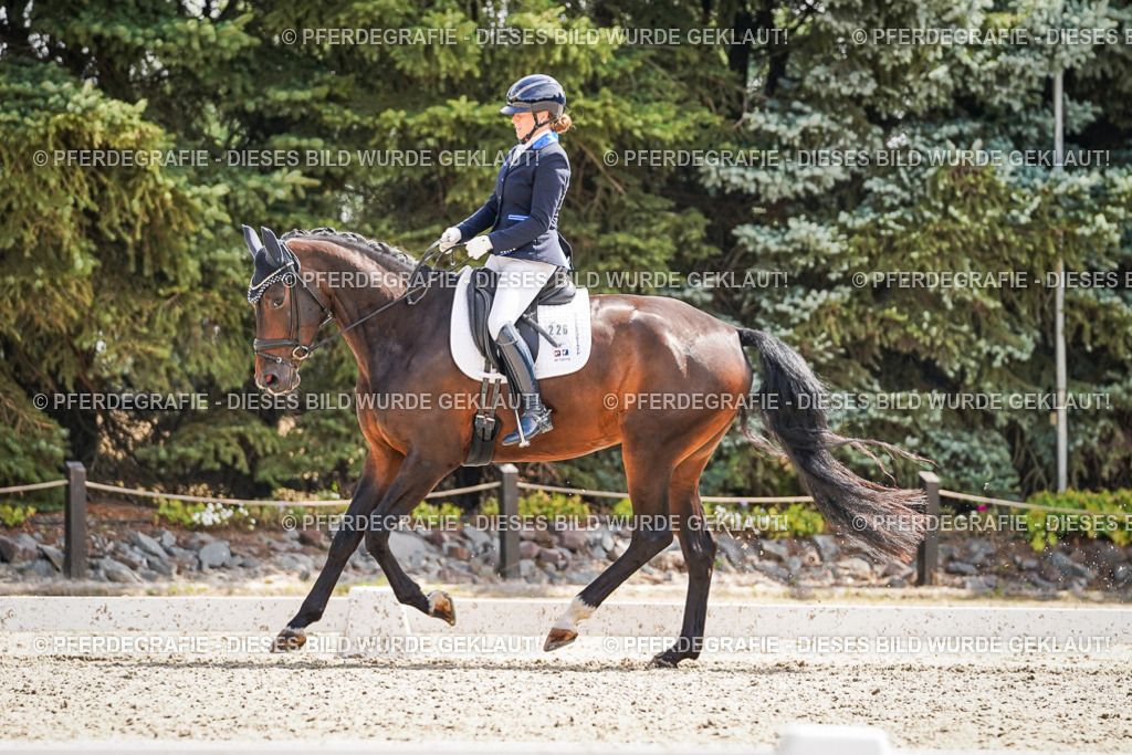 DSC09314 | Pferdegrafie