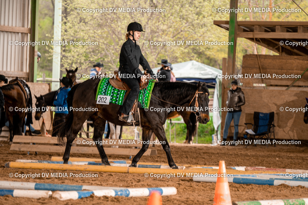 BA300582 | dv-media-shop - Realisiert mit Pictrs.com