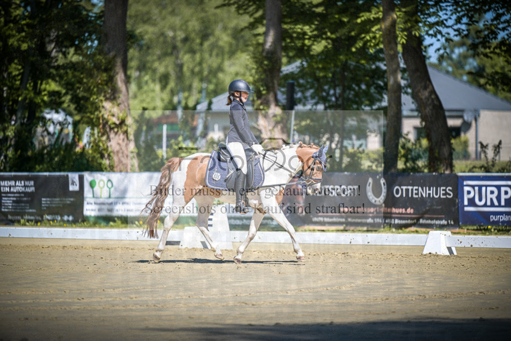 DOS_7731 | Entdecke hochwertige Reitturnierfotos von Foto Oger. Professionell, emotional und authentisch – jetzt Lieblingsmomente im Shop bestellen.Deutschlandweite Turnierfotografie. - Realisiert mit Pictrs.com