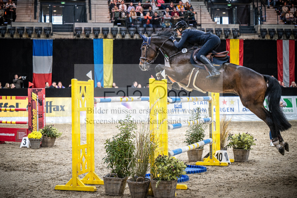 DOS_0759 | Entdecke hochwertige Reitturnierfotos von Foto Oger. Professionell, emotional und authentisch – jetzt Lieblingsmomente im Shop bestellen.Deutschlandweite Turnierfotografie. - Realisiert mit Pictrs.com