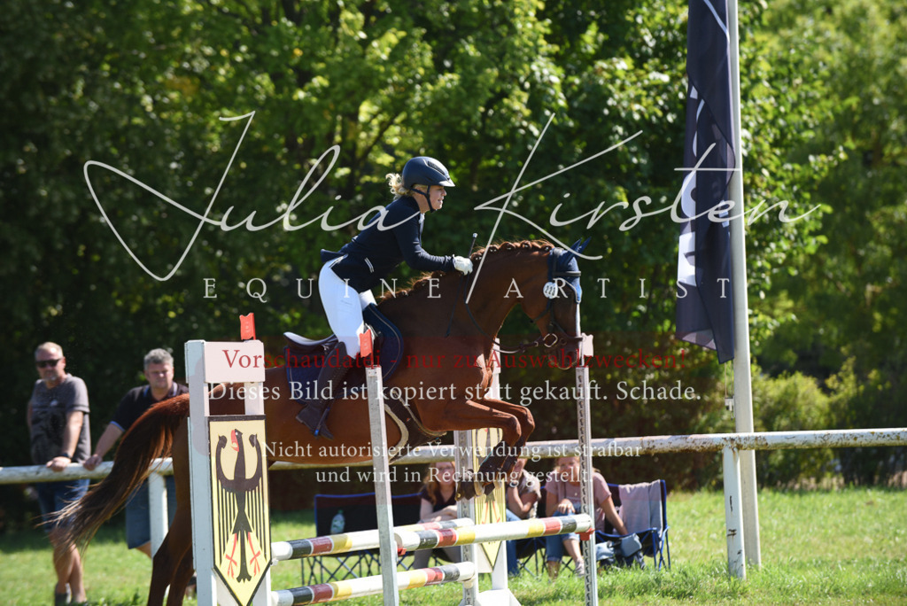 DSC_9299 | Pferde- und Turnierfotografie in Westsachsen. Pferdeportraits, Auftragszeichnungen und intuitive Kunst.