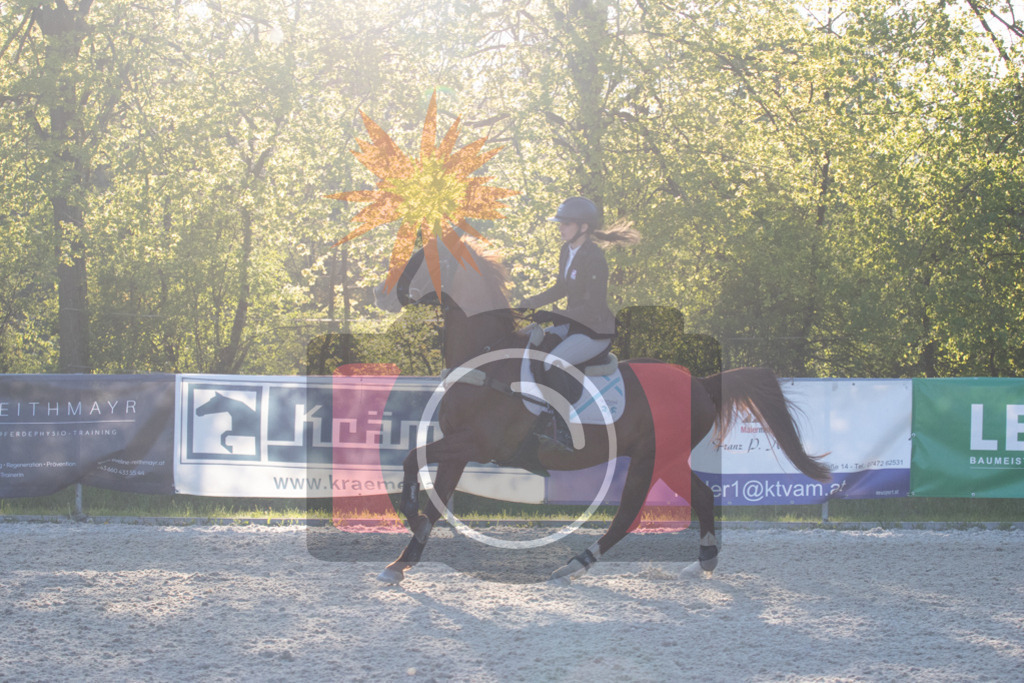 IMG_4123 | kraqueboom - Realisiert mit Pictrs.com