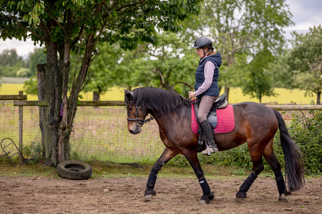 846A0594 | fotosleben - Realized with Pictrs.com