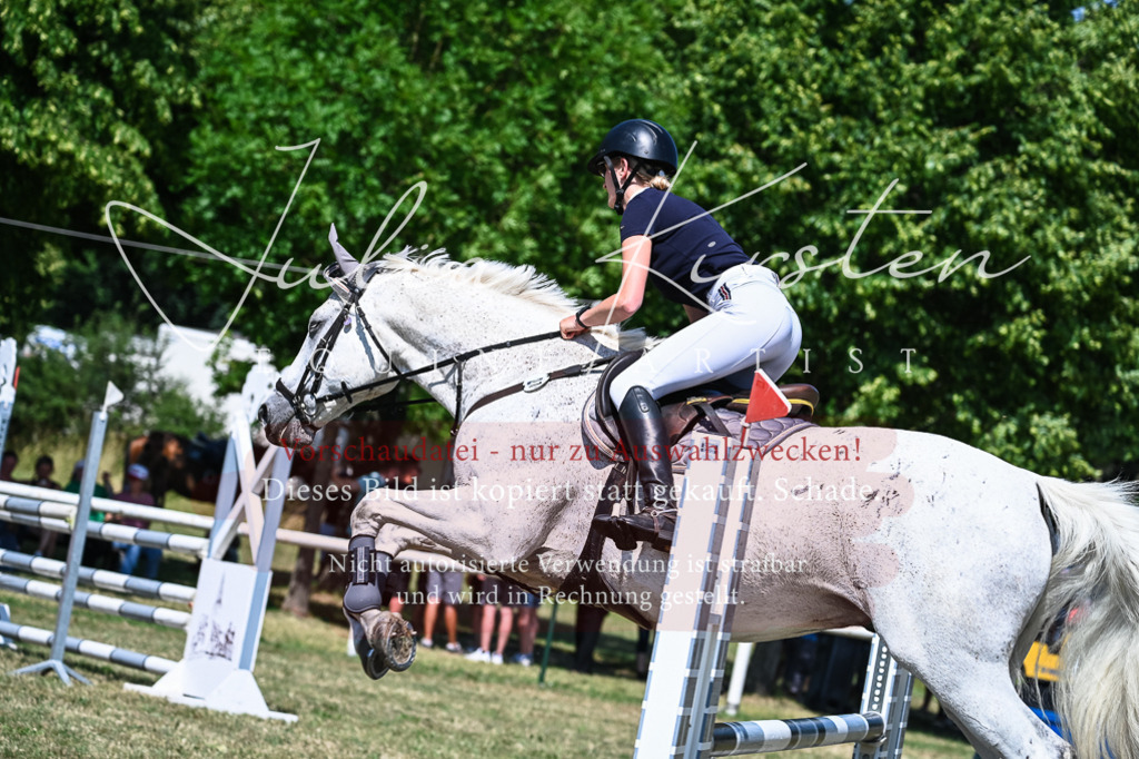 DSC_1103 | Pferde- und Turnierfotografie in Westsachsen. Pferdeportraits, Auftragszeichnungen und intuitive Kunst.