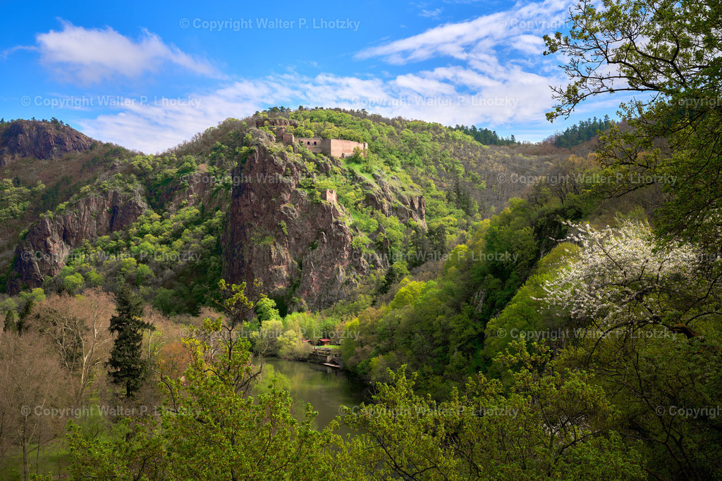 LHO00040 | wlstudio - Realisiert mit Pictrs.com