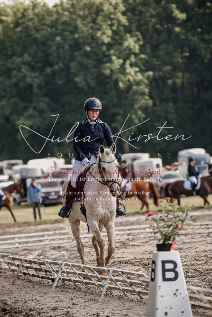 DSC_8056 | Pferde- und Turnierfotografie in Westsachsen. Pferdeportraits, Auftragszeichnungen und intuitive Kunst.