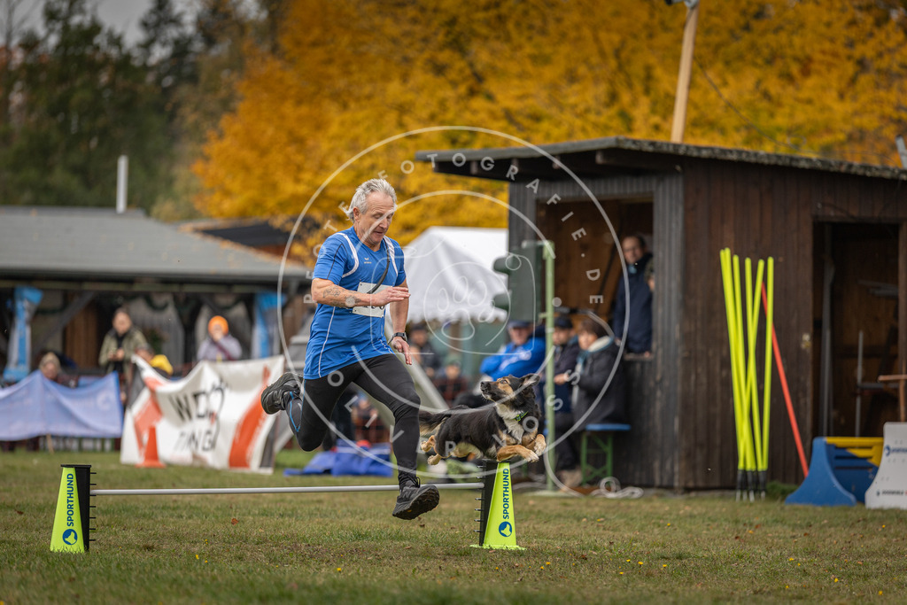Pfotenfotografie_DV3A6245 | Hundefotografie, Tierfotograf, Pfotenfotografie, Fotoshooting Hund, Hunde Portrait, Hundesport, Hundeportraits, Heideshooting, Hunde, Sportfotograf, Hundefotograf, Turnierhundsport, THS,  - Realisiert mit Pictrs.com