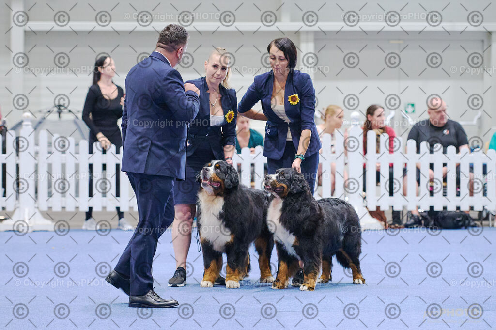 202406_ÖKV-IHA-Tulln24_DSC_2801 | proPHOTO - Realisiert mit Pictrs.com