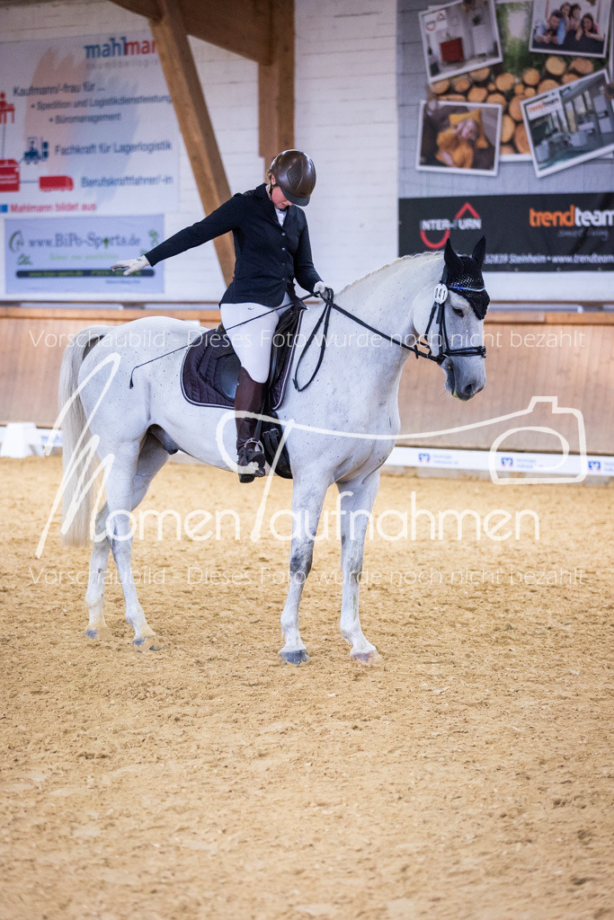 Sth-A-Dre-2St-075 | MomenTaufnahmen Pferdesportfotos