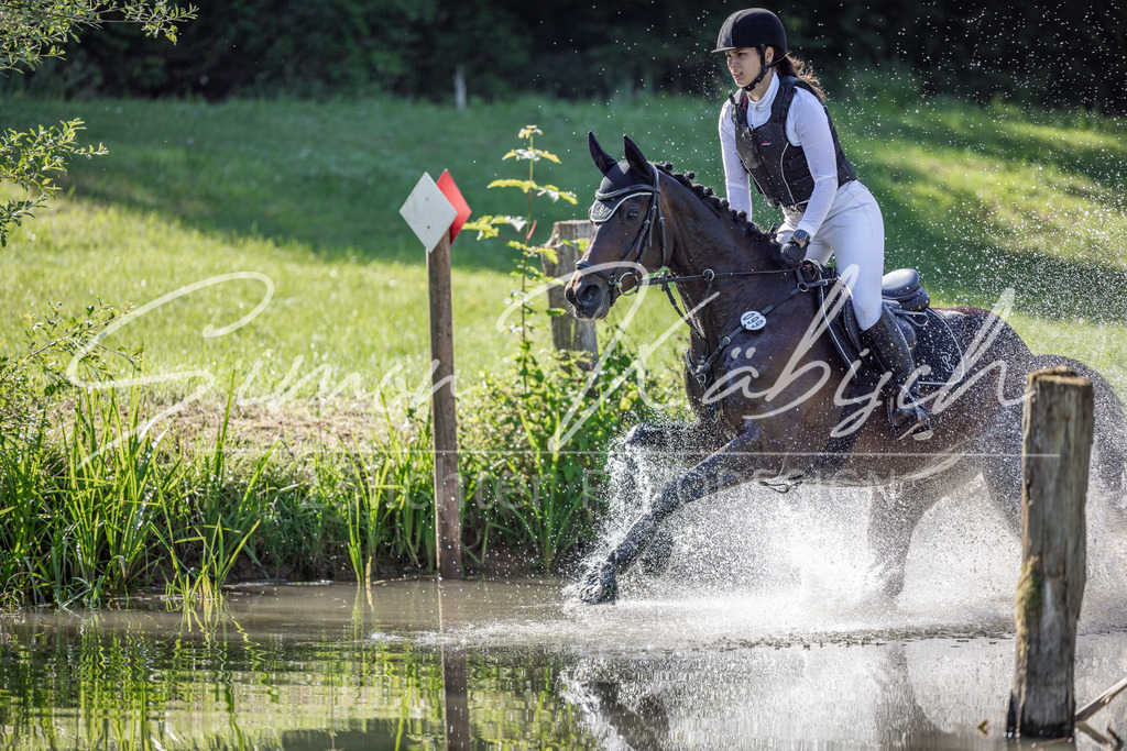 20260523-_3LI6413 | Tierfotografie Pferde, Hunde, Katzen, Haustiere.
Turnierfotografie Reitturniere, Reiten, Springreiten, Dressur in Hanau, dem Main-Kinzig-Kreis und dem Rhein-Main- Gebiet um Frankfurt