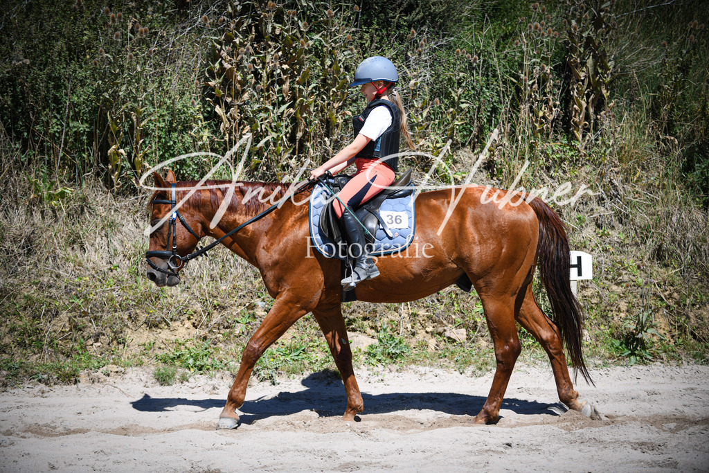 DSC_1002 | anikahuebner - Realisiert mit Pictrs.com