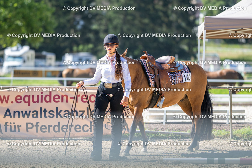 LM Heiligenwald Tag 1-530 | dv-media-shop - Realisiert mit Pictrs.com