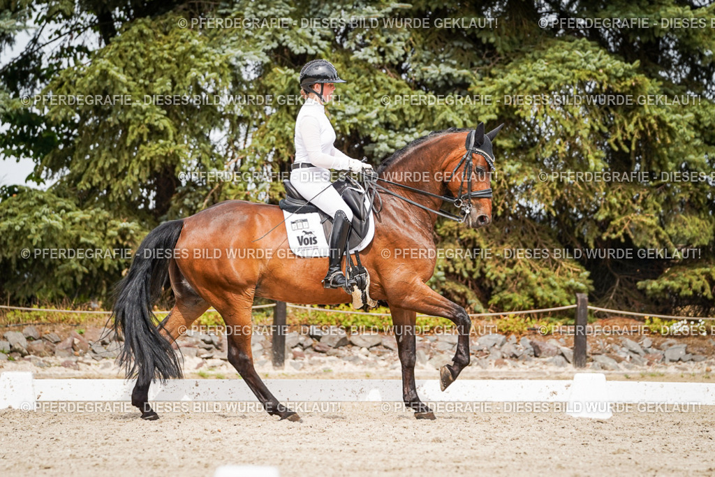 DSC06753 | Pferdegrafie