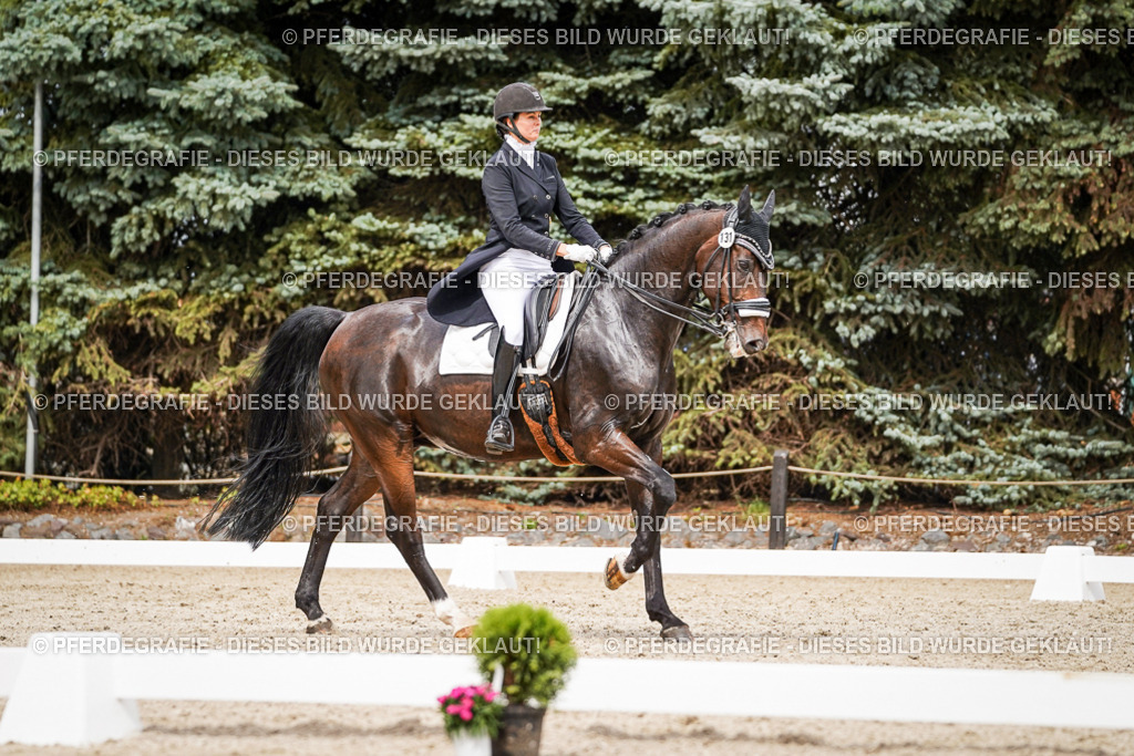 DSC06721 | Pferdegrafie