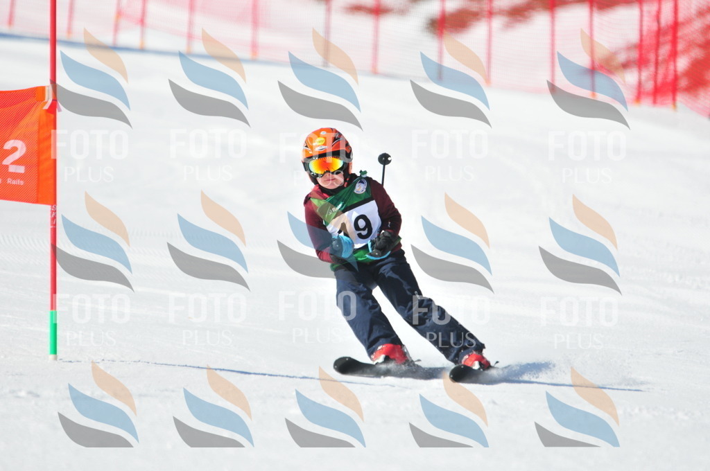 C1926 | holidayphoto