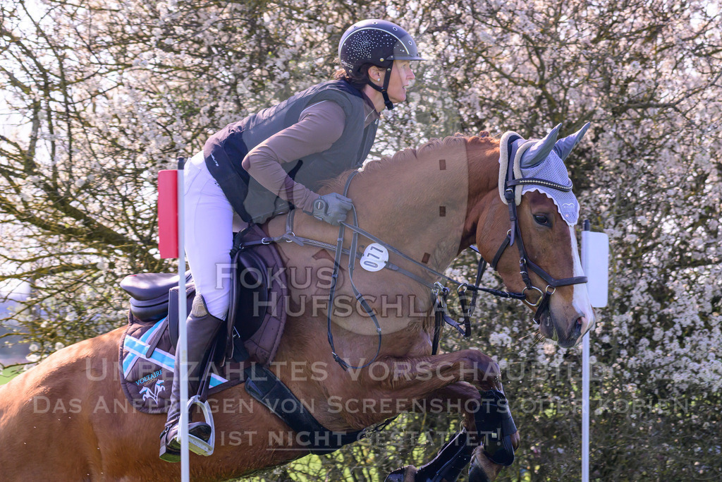 18042026-Gernlinden-03-0376 | Fokus Hufschlag Fotografie - Realisiert mit Pictrs.com