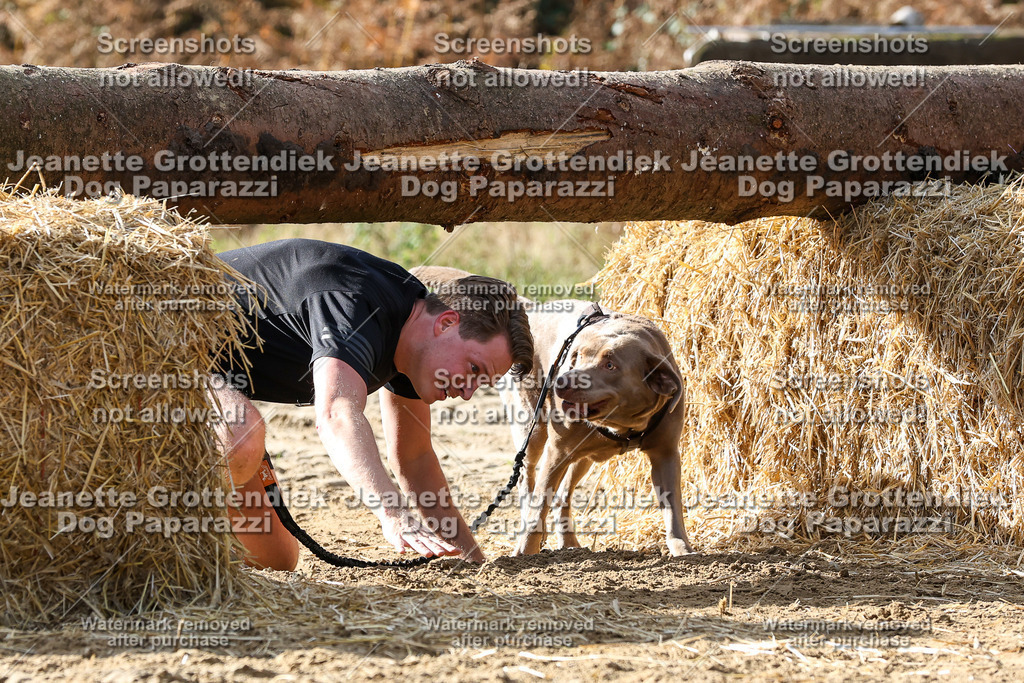 Dog Paparazzi - Strongdog 10-25-5713 | Dog Paparazzi Jeanette Grottendiek Fotografie & Videografie - Realisiert mit Pictrs.com