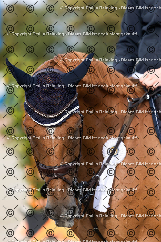 CL5A0212 | Emilia Reinking Fotografie - Realisiert mit Pictrs.com