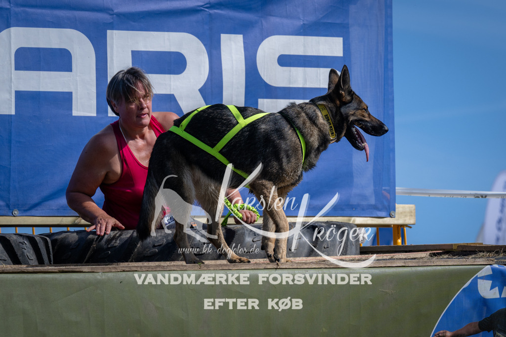 1101_ZZ90205 | kk-dogfotos