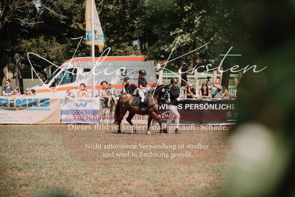 DSC_6123 | Pferde- und Turnierfotografie in Westsachsen. Pferdeportraits, Auftragszeichnungen und intuitive Kunst.