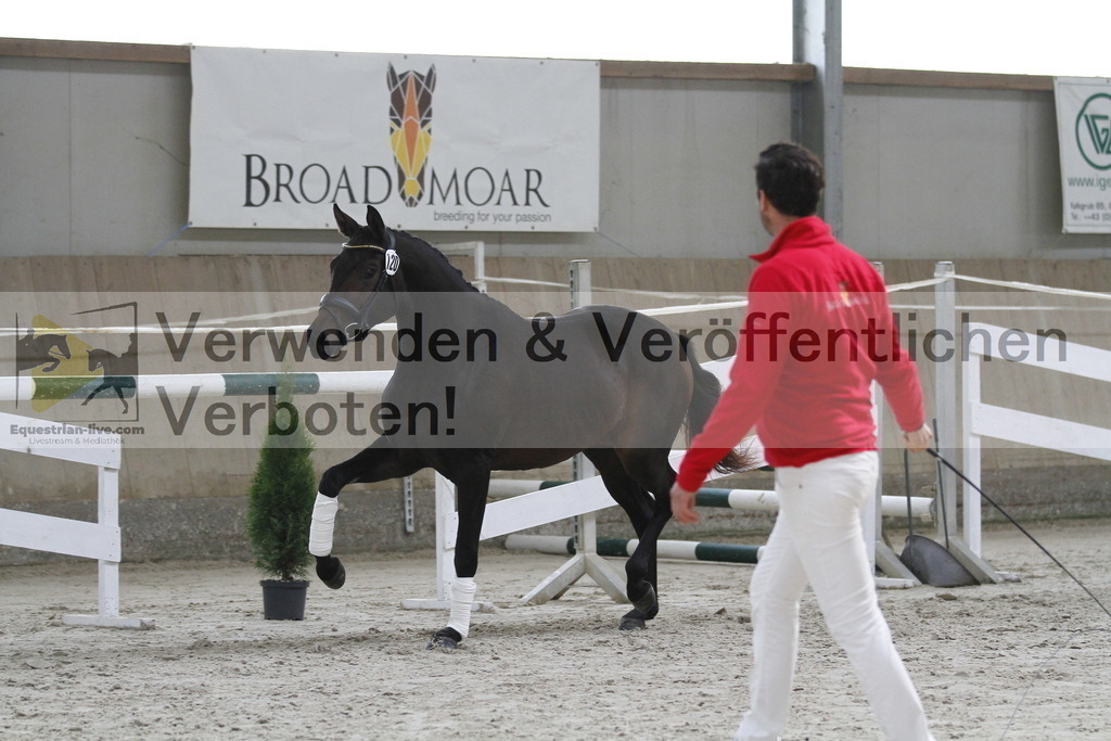 _MG_9470 | equestrian-live-com