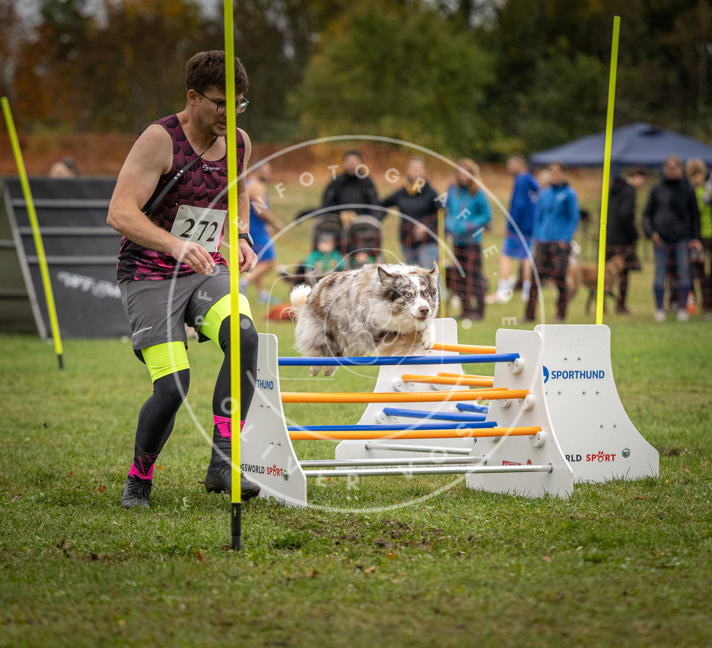 Pfotenfotografie_DV3A9789 | Hundefotografie, Tierfotograf, Pfotenfotografie, Fotoshooting Hund, Hunde Portrait, Hundesport, Hundeportraits, Heideshooting, Hunde, Sportfotograf, Hundefotograf, Turnierhundsport, THS,  - Realisiert mit Pictrs.com