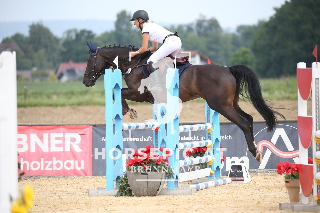 DL2Q4132 | Willkommen bei Brunnmayr - Design & Fotografie – Ihrem Spezialisten für Reitturniere und Pferdeveranstaltungen in Oberösterreich, Salzburg und Bayern! Seit über 17 Jahren sind wir leidenschaftlich dabei.