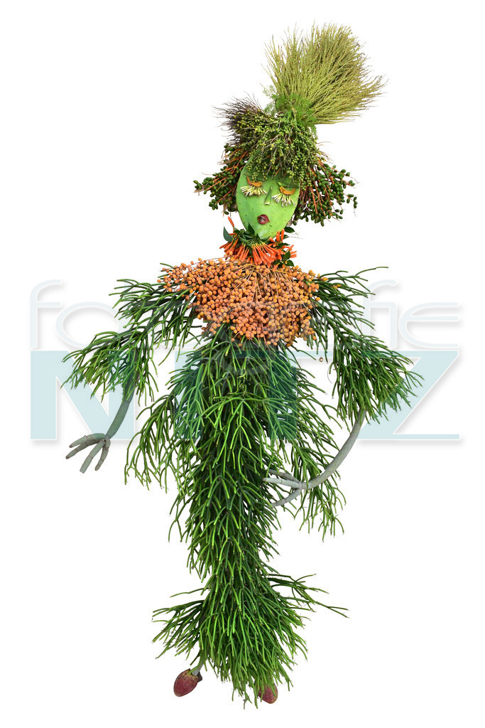 27 | Nitz Fotografie aus Montabaur bietet Ihnen hier die Möglichkeit Bilder auszusuchen und zu bestellen. 