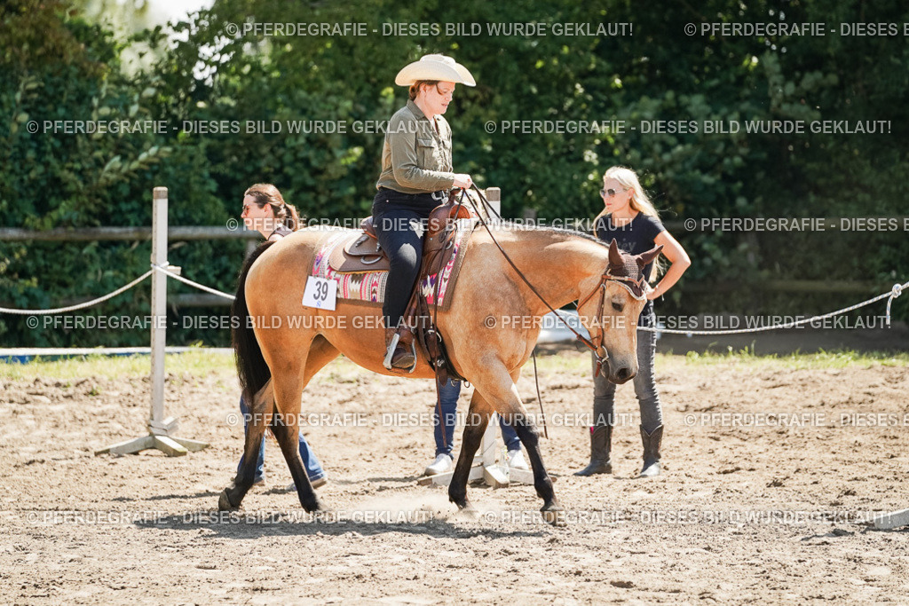 DSC06753 | Pferdegrafie