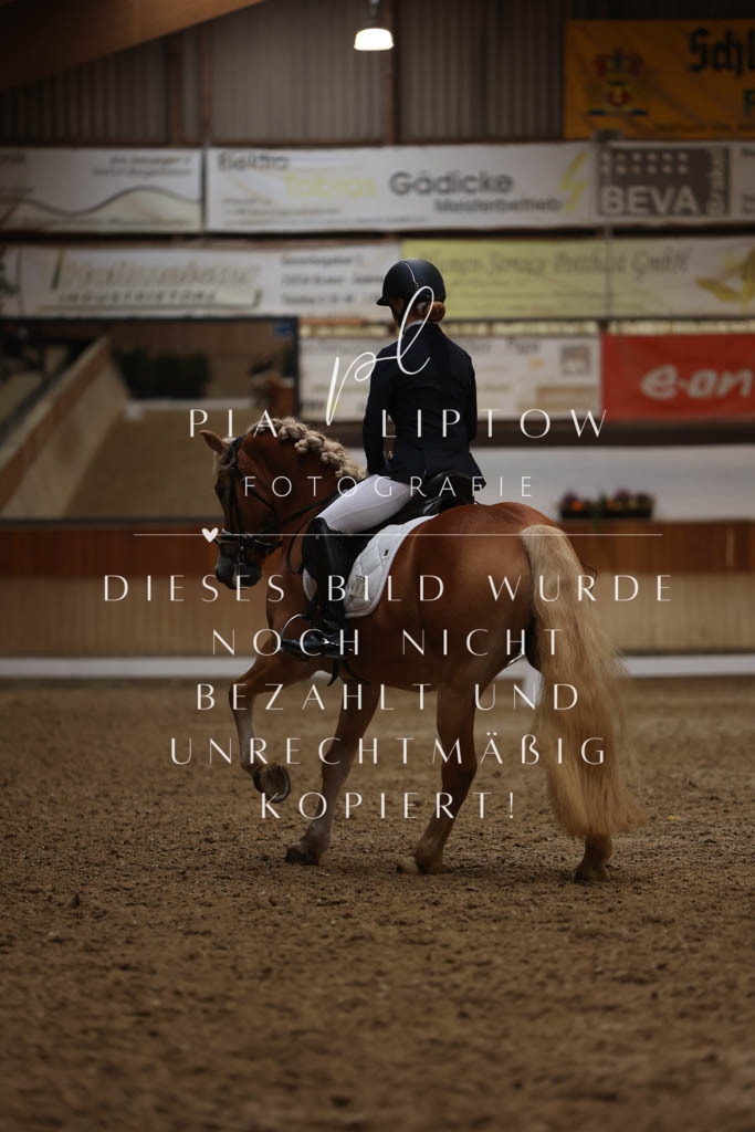 IMGM6901 | pl-fotografie