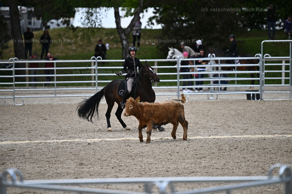 PI26_COW_Sara Landvogt226_7421.JPG | working equitationturnier fotograf videograf stoibphotography marixx film working equitation deutschland reitsport turnierfotografie eventfotografie equestrian events