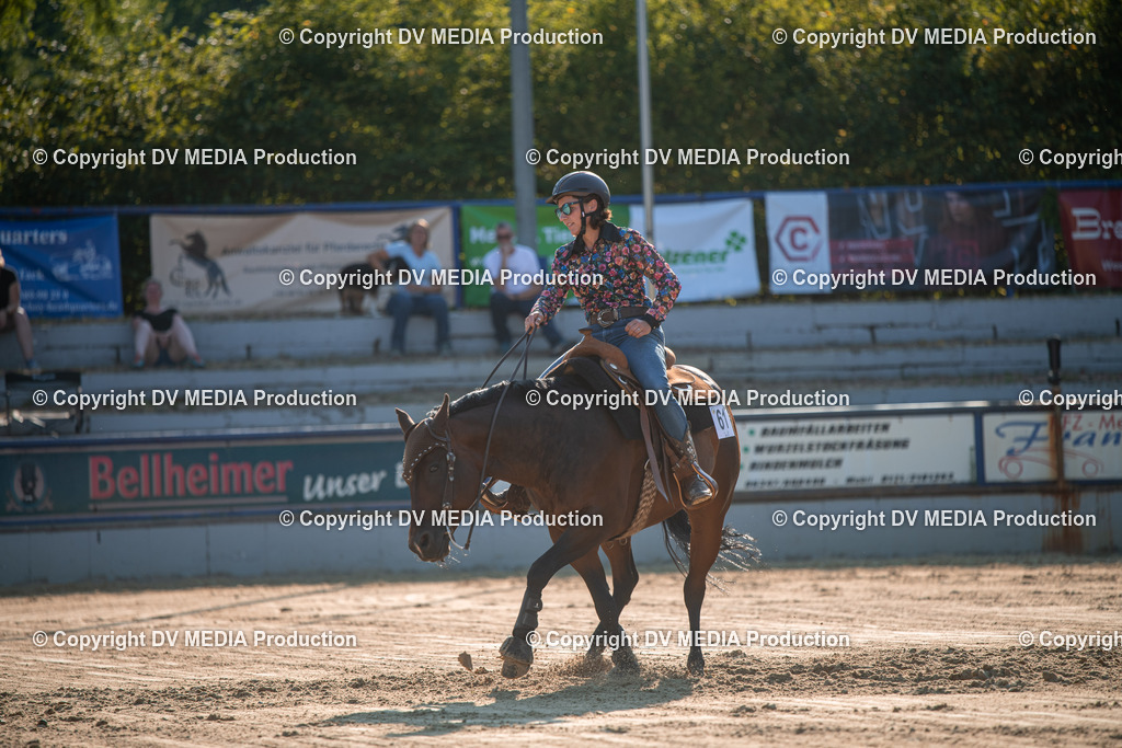 ZS2_8965 | dv-media-shop - Realisiert mit Pictrs.com