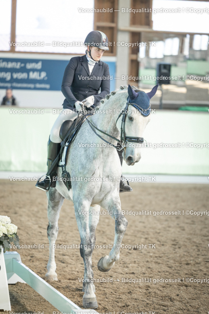 _D5A2676 | Emotionale Pferde- & People-Fotografie rund um Heidelberg, Leimen & Umgebung. Natürliche Fotos von Pferd, Mensch & Familie. Jetzt Termin sichern!