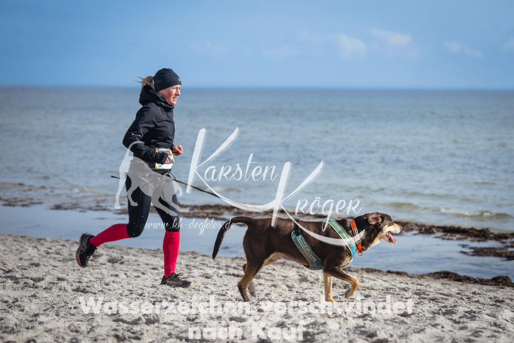 1245_ZZ98431 | kk-dogfotos