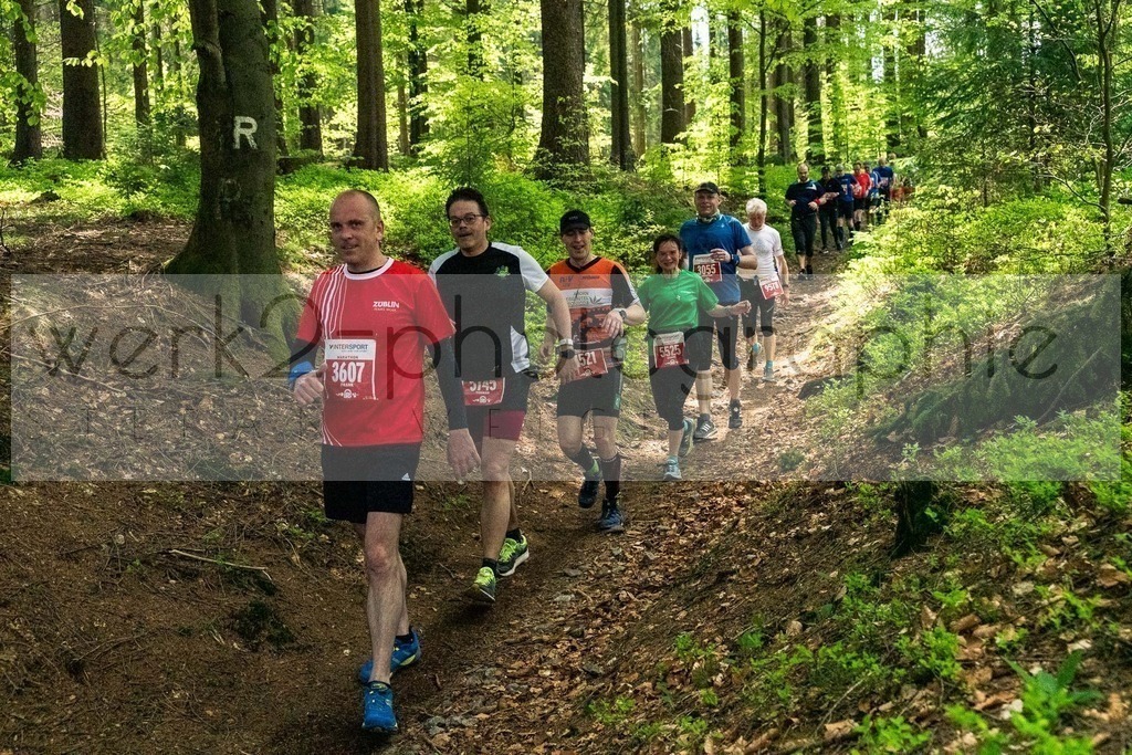 Rennsteiglauf 2019 | Marathon Neuhaus/Rwg. - Schmiedefeld am 18. Mai 2019
