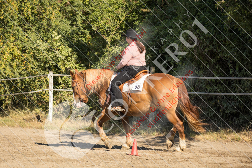 IMG_6626 | Sport-, Event- und Tierfotos in Profiqualität. Einfach auswählen, bestellen und herunterladen. Dein Moment – perfekt festgehalten.