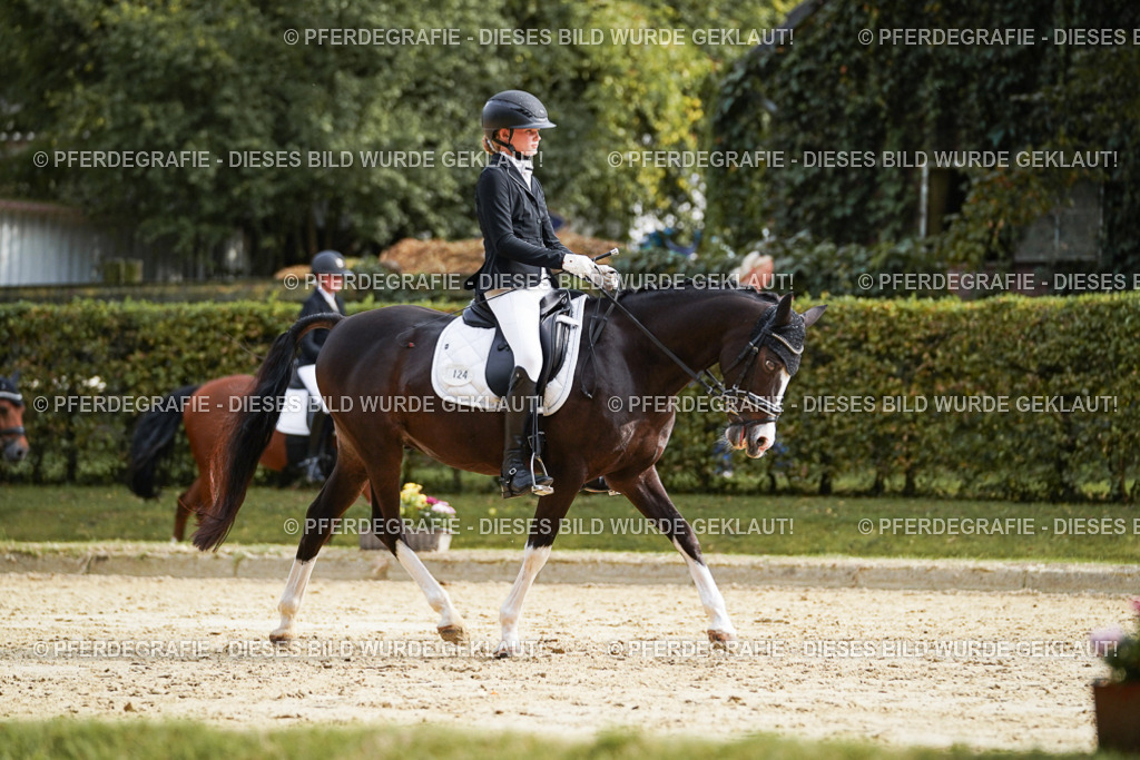 DSC04749 | Pferdegrafie