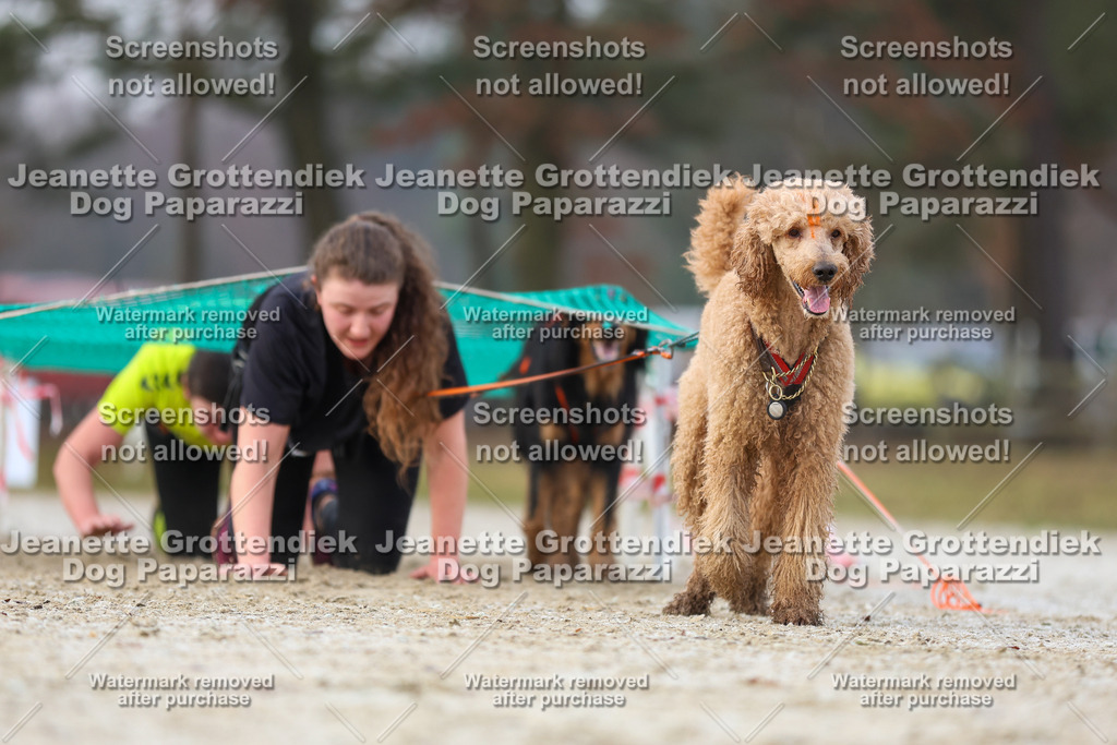 Dog Paparazzi - Strongdog North Mrz26-3732 | Dog Paparazzi Jeanette Grottendiek Fotografie & Videografie - Realisiert mit Pictrs.com